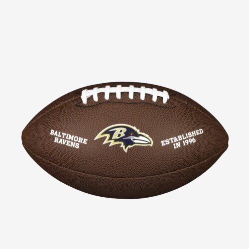 NFL BACKYARD LEGEND FOOTBALL | Baltimore Ravens